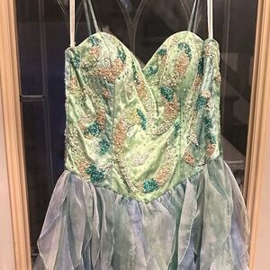 Dress or Tinker Bell costume